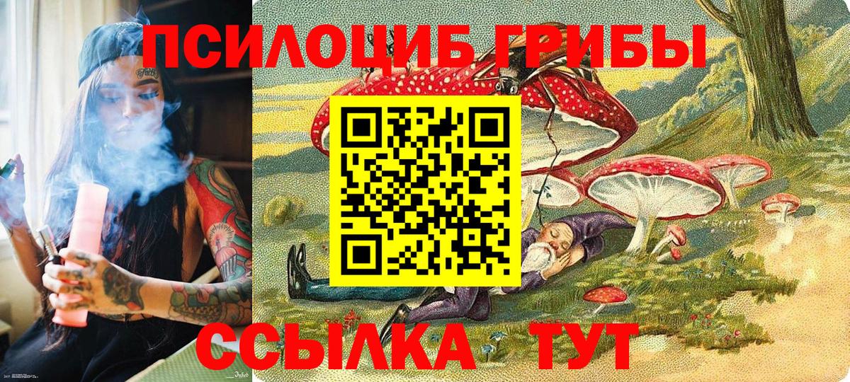 Тула  Галлюциногенные грибы Cubensis  Вход с VPN 